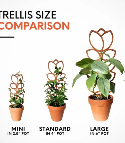 Supports de plantes intérieures